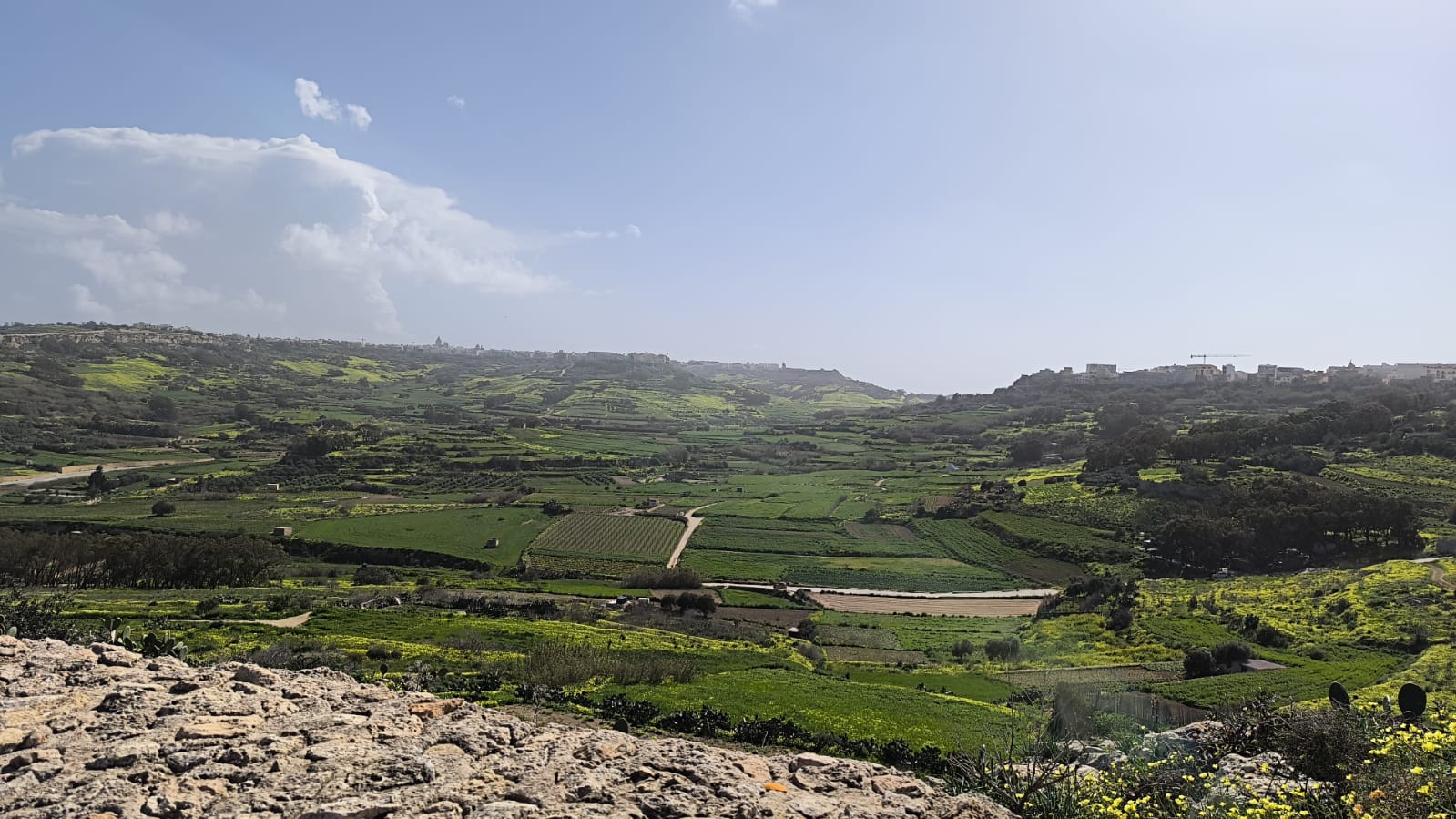 Gozo